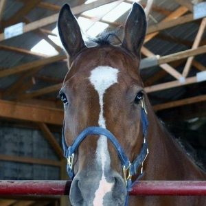 Meet your Posher, Ruth